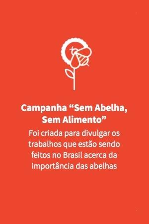 Sem abelha, sem alimento - Arte/UOL