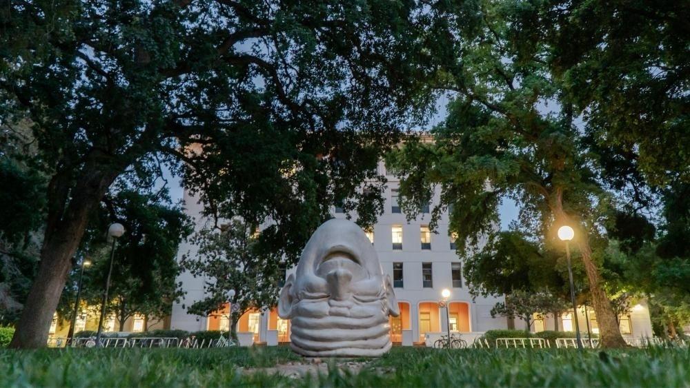 Universidade da Califórnia, em Davis, é onde Gil do Vigor vai estudar pelos próximos 4 anos - Reprodução/UC Davis