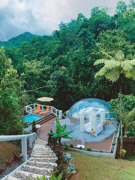 Bubble Puerto Rico - Reprodução/Instagram - Reprodução/Instagram