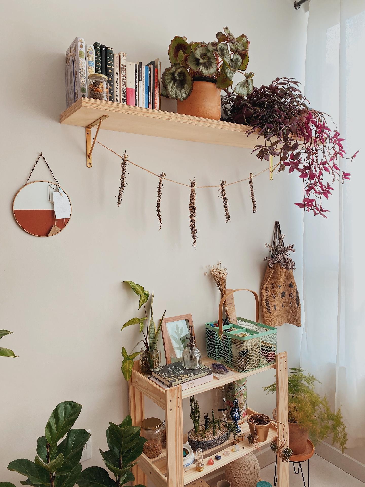 Meu Apê - Micaela - Arquivo Pessoal