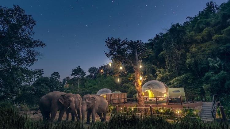 Anantara Golden Triangle Elephant Camp & Resort - Reprodução/Instagram - Reprodução/Instagram