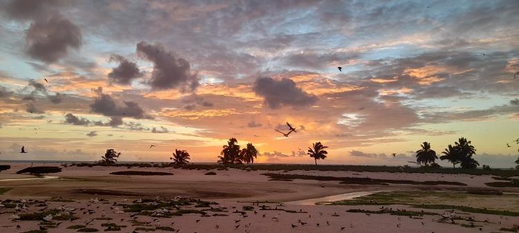 Atol das Rocas - Arquivo Pessoal - Arquivo Pessoal