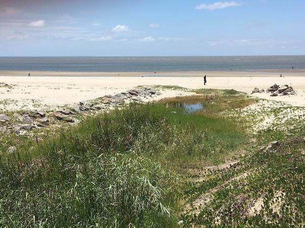 Praia da Costa do Sol, em Maputo, em Moçambique - Reprodução/Tripadvisor