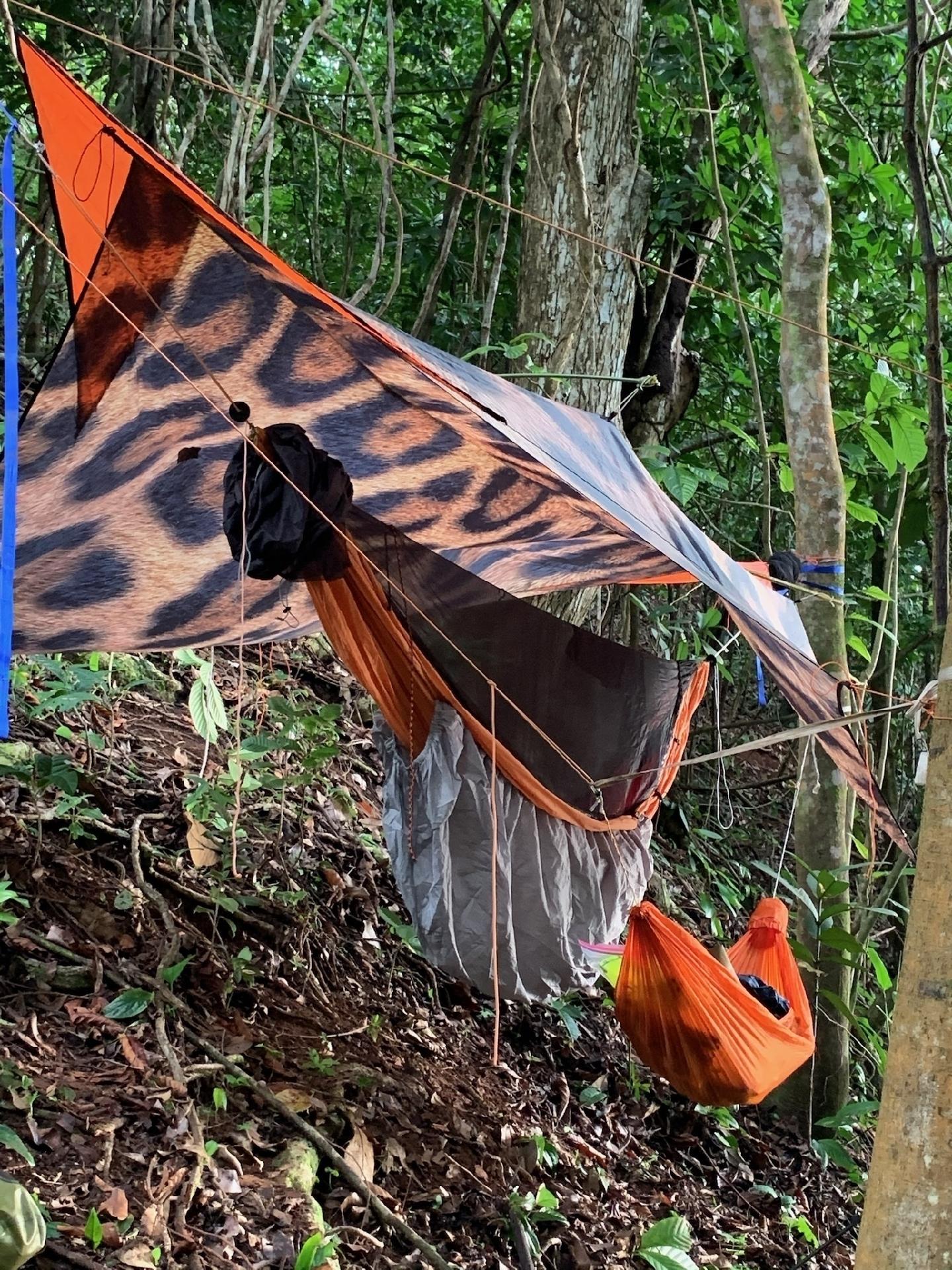 Rede de dormir montada em barranco na selva do Tapón del Darién - Rick Morales/Jungle Treks