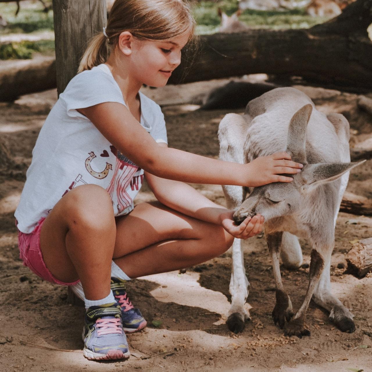 Austrália - Arquivo pessoal