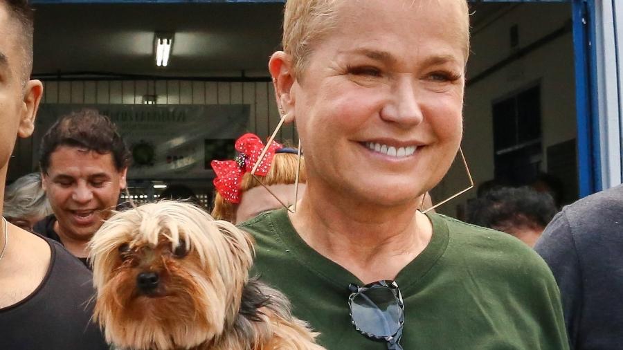 Xuxa Meneghel e a cachorrinha Doralice - André Horta/Brazil News