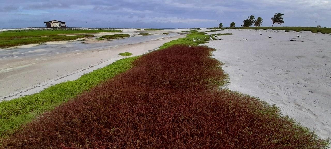 Atol das Rocas - Arquivo Pessoal
