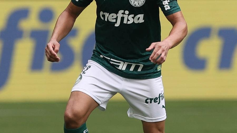 O lateral direito Mayke, do Palmeiras, na partida contra o Botafogo, pelo Brasileirão 2020 - Cesar Greco/Palmeiras