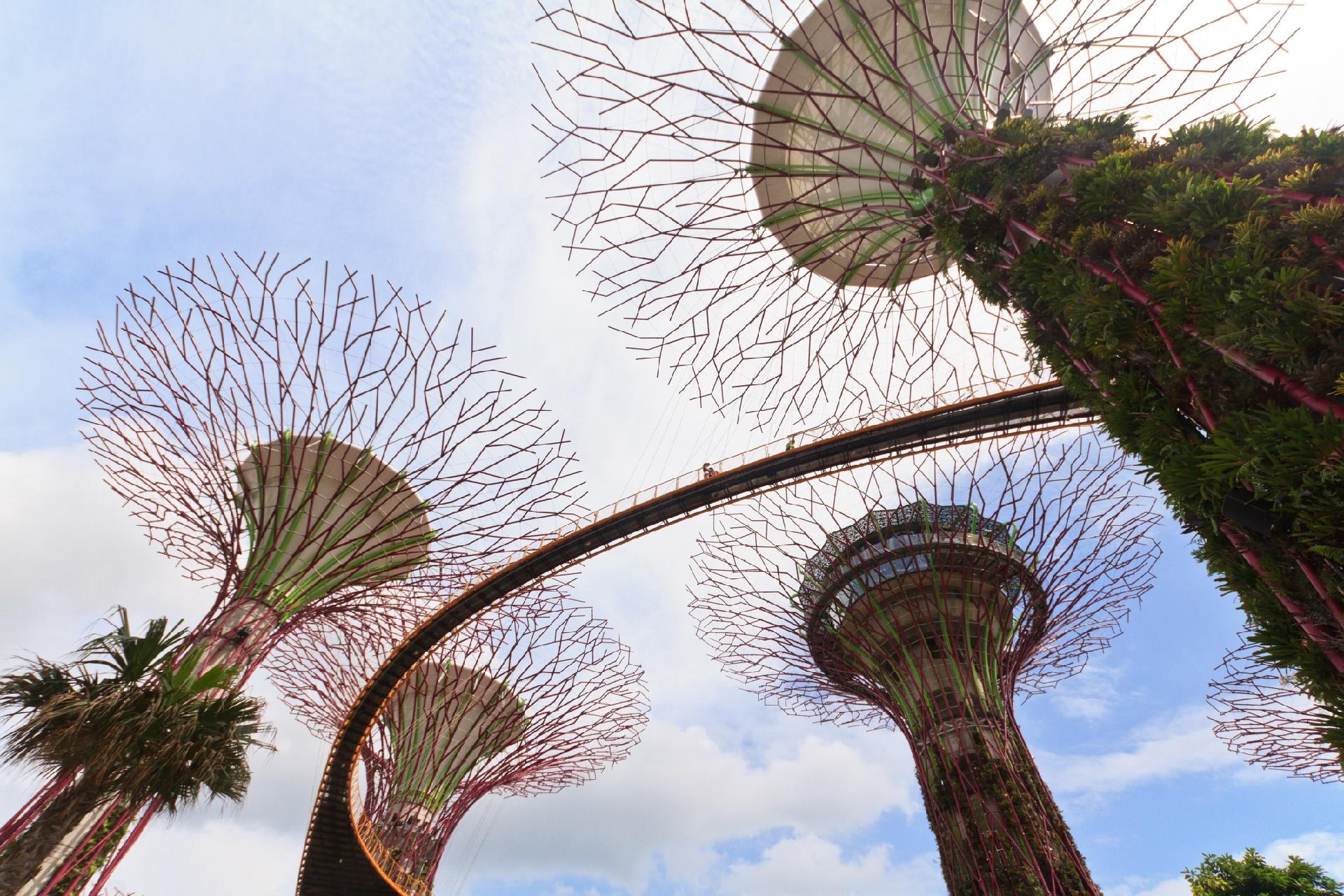 Gardens by the Bay, em Singapura - Nadezhda1906/Getty Images