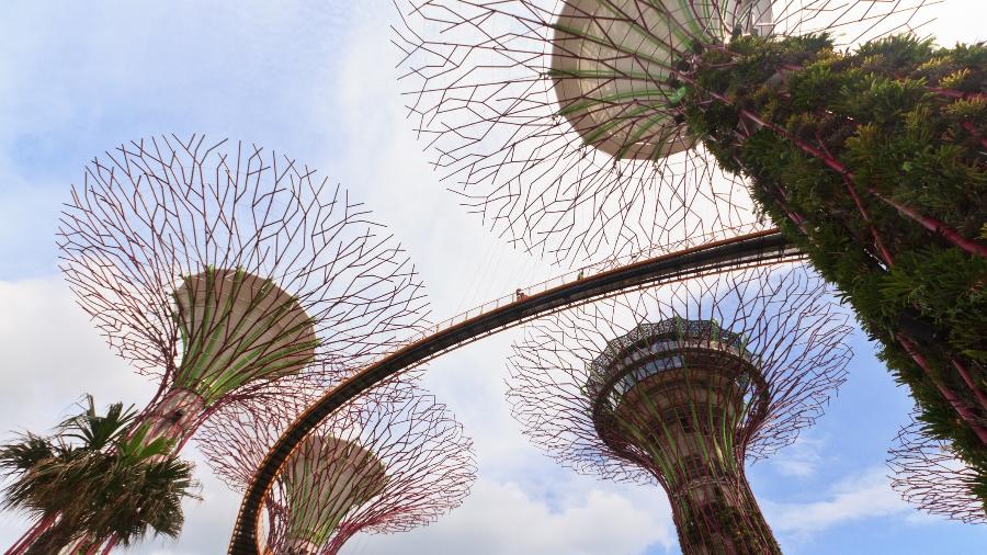 Singapura: A bolsa cobre integralmente os valores de anuidade por até quatro anos, além de um valor mensal de US$ 2.200, auxílio financeiro de US$ 1.000 para instalação no país e US$ 1.500 para passagens aéreas - Nadezhda1906/Getty Images