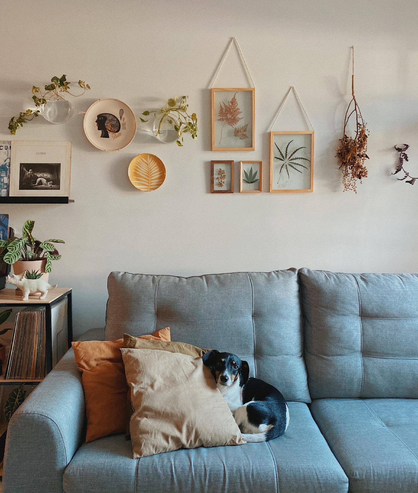 Meu Apê - Micaela - Arquivo Pessoal