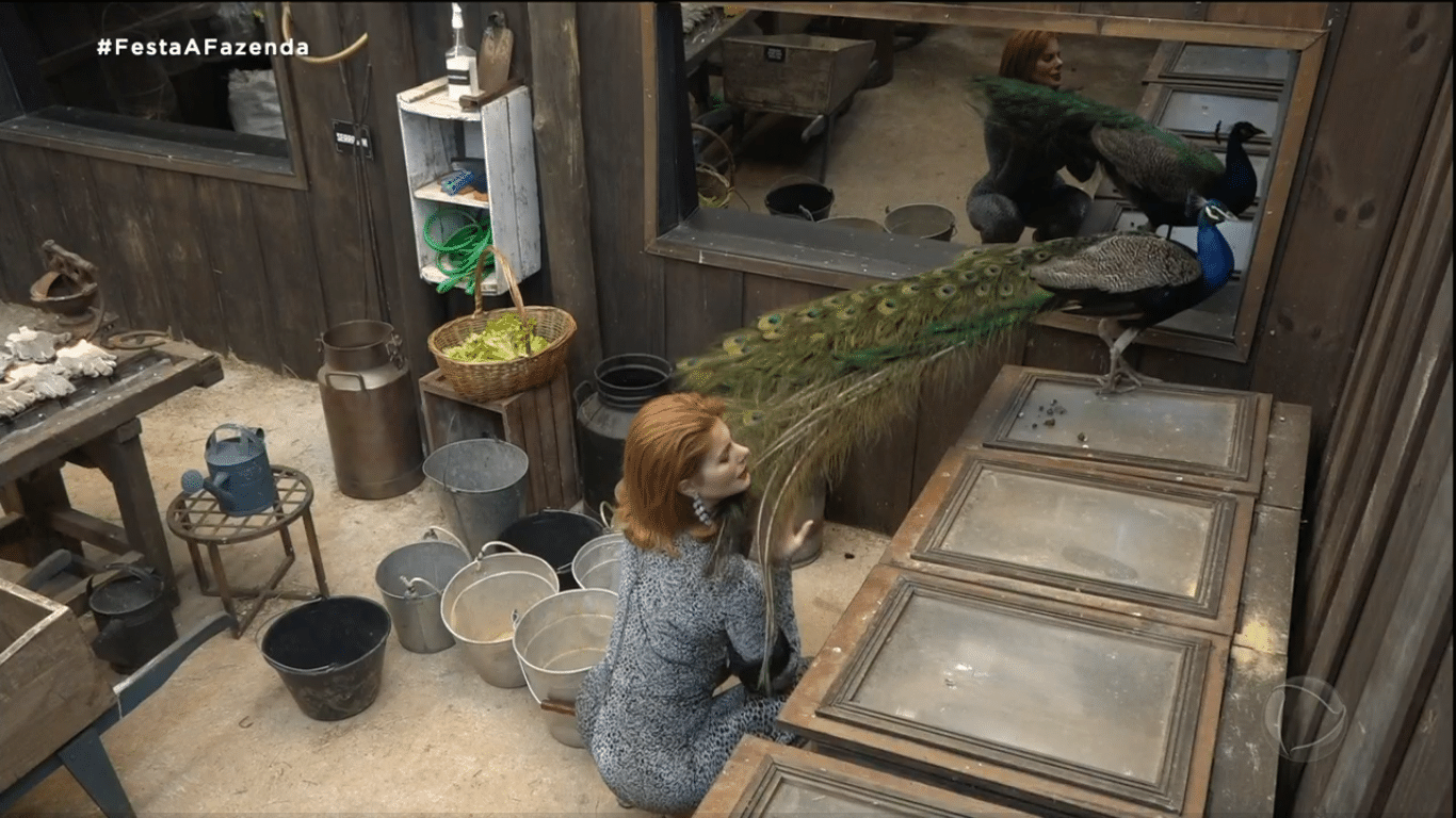 A Fazenda 2022: Deborah mata saudade do pavão - Reprodução/PlayPlus