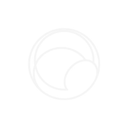 Suculenta Colar de Pérolas - Getty Images/iStockphoto - Getty Images/iStockphoto