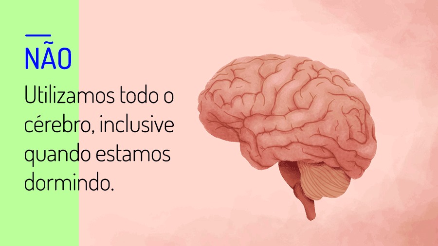 Notícias – Centro CEREBRO