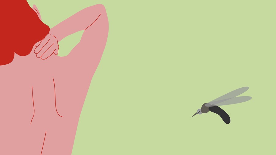 Por que algumas pessoas são mordidas por mosquitos e outros não?