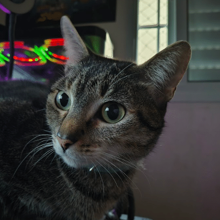 Foto feita com o Moto g86 5G