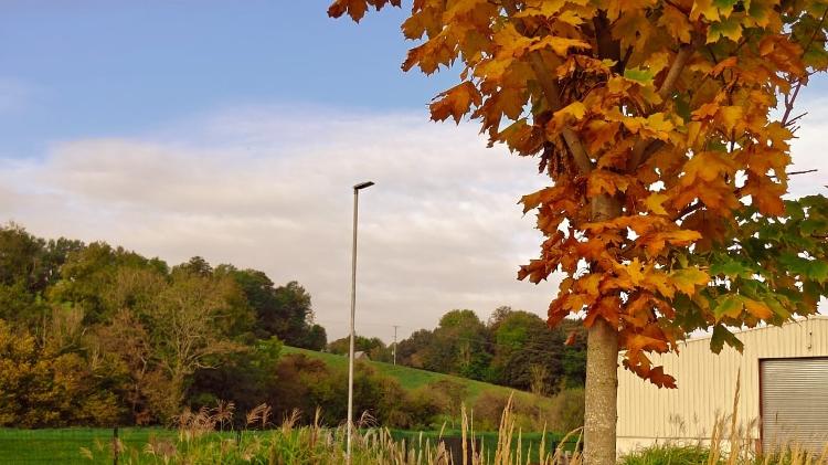 Fotografia de paisagem feita com o filtro "Porto Real", no qual as cenas ficam com tons mais alaranjados Fotografia de paisagem feita com o filtro "Porto Real", no qual as cenas ficam com tons mais alaranjados