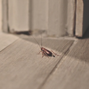 Getty Images/iStockphoto