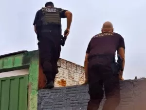 Divulgação/Polícia Federal
