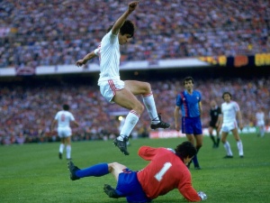 David Cannon/Allsport