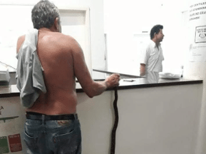 Reprodução / Instagram 