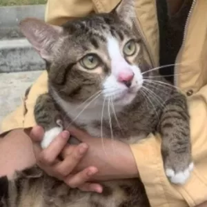 Reprodução/Twitter