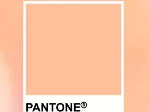 Pantone