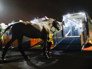 FEI/Yusuke Nakanishi