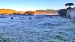 Mycchel Legnaghi / Agência São Joaquim Online