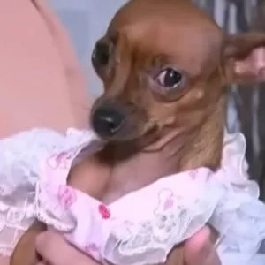 Reprodução/Record