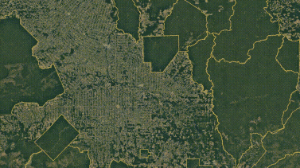 Reprodução/Google Reprodução/Google