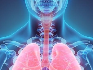 iStock