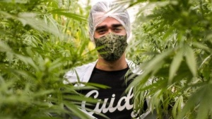 Cesar Matos/Divulgação