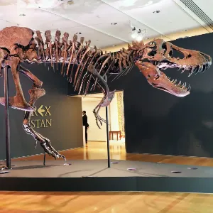 Spencer Platt / Getty Images