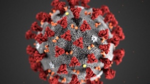 CDC/Getty Images CDC/Getty Images