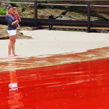 Maré vermelha é rara no Brasil, mas comum em outros locais, como na Austrália (acima)