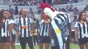 Reprodução Reprodução