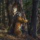 Sergey Gorshkov/WPY202 Sergey Gorshkov/WPY202
