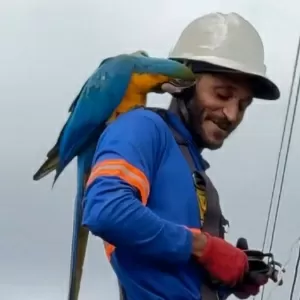 Reprodução/TikTok