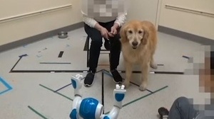 Social Robotics Lab/ Yale University