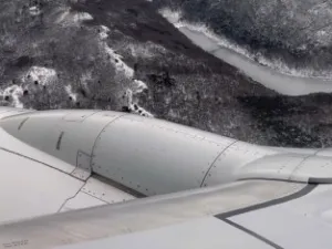 Reprodução/TikTok/@nicovallorani