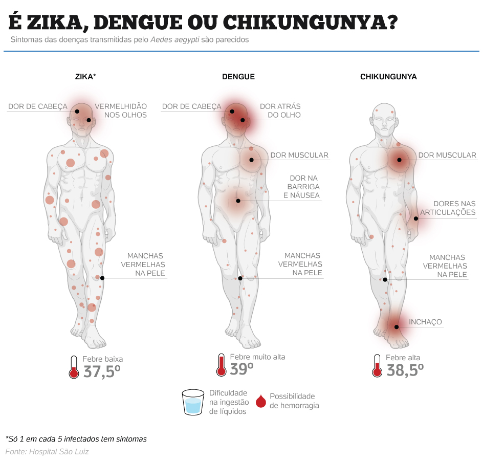 Chikungunya provoca doenças vasculares irreversíveis em pacientes, revela pesquisa 7
