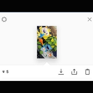 Reprodução Reprodução