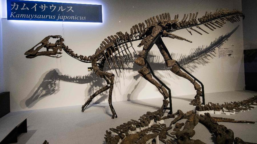 Réplica do "Kamuysaurus japonicus", que significa "deus dragão japonês" - Behrouz Mehri