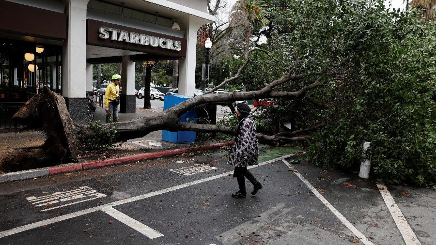 04.jan.23 - Pedestres contornam uma árvore que caiu durante uma tempestade no centro de Sacramento, Califórnia, EUA - FRED GREAVES/REUTERS
