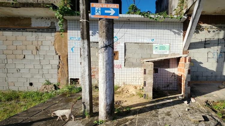 Gato em cenário de abandono no bairro do Bebedouro, em Maceió