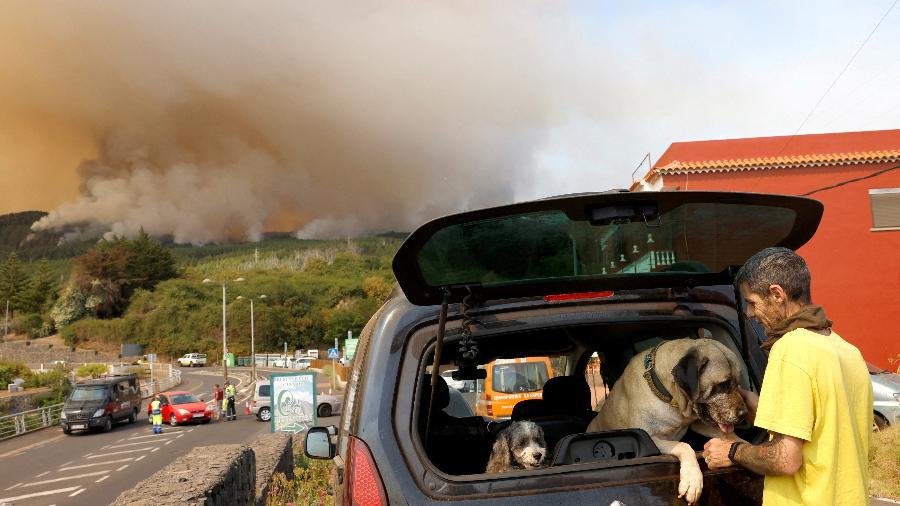 17.ago.23 - O residente local Eduardo Khoury, 46, com seus cachorros Calima e Pluton, se prepara para evacuar enquanto árvores queimam em um incêndio florestal em La Esperanza, na ilha de Tenerife, Ilhas Canárias, Espanha