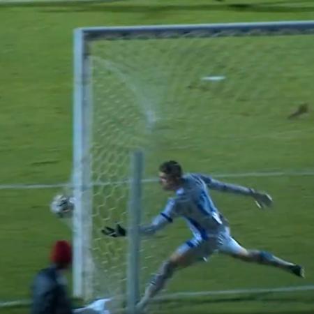 Goleiro Cajuru, então no CSA, falha em jogo contra Ponte Preta e CSA Goleiro Cajuru, então no CSA, falha em jogo contra Ponte Preta e CSA