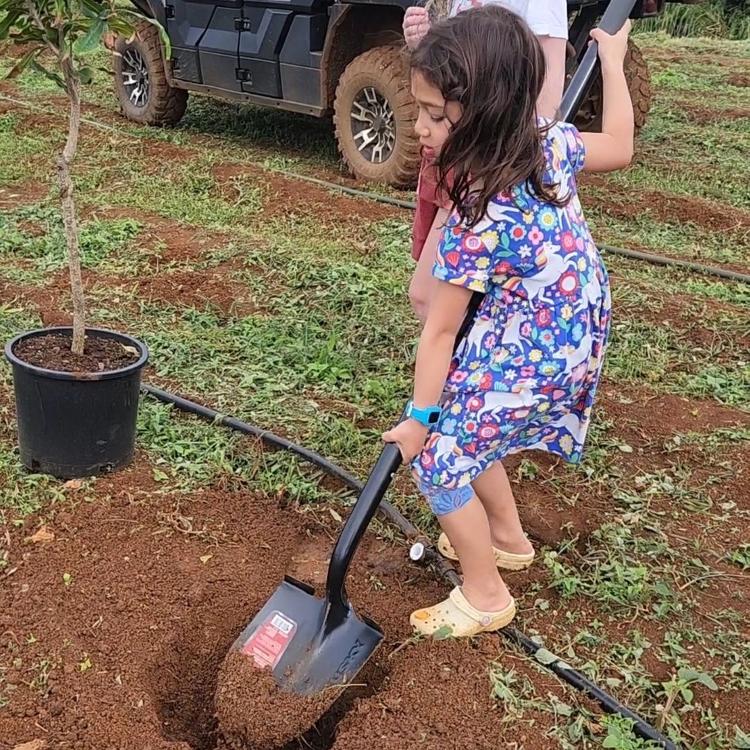 Uma das filhas de Zuckerberg ajudando na plantação de árvores