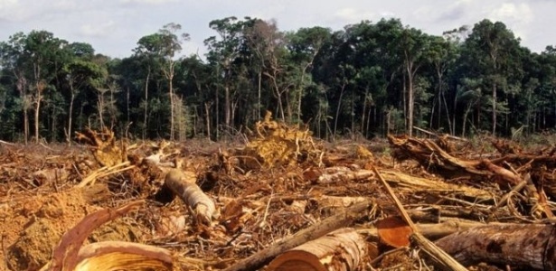 Desmatamento da Amazônia, em foto de 2007; floresta brasileira perdeu 20% de sua área desde 1970 - Getty Images